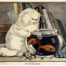 4425.White cat fishing for fish.inn fish bowl.POSTER.decor Home Office art 4425.White cat fishing for fish.inn fish bowl.POSTER.decor Home Office art