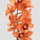5458.Light orange flowers blooming.wild flowers.POSTER.decor Home Office art 5458.Light orange flowers blooming.wild flowers.POSTER.decor Home Office art