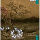 6045.White foxes surround tree at night in forest.China.POSTER.Home Office art 6045.White foxes surround tree at night in forest.China.POSTER.Home Office art
