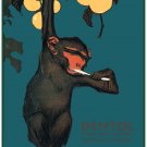 2993.Dentol Monkey brushing teeth POSTER.Design.Dentist office art decoration