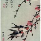 6811.Japanese pink flowers.hummingbirds fluttering.POSTER.House art wall decor