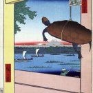 6701.Turtle hangs from windows overlooking boats.volcano.POSTER.art wall decor
