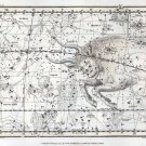 3405.Taurus Tauro Astrological Chart Horoscope POSTER.Home Room Art decoration