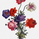 6686.Wild flowers.Red floers.White flowers.Purple flowers.POSTER.art wall decor 6686.Wild flowers.Red floers.White flowers.Purple flowers.POSTER.art wall decor
