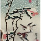 6810.Japanese pink flowers.hummingbirds fluttering.POSTER.asian art wall decor
