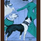 6269.Coliseum.Chicago kennel clubs.dog show.pitbull.POSTER.Home Office art