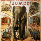 3501.Jumbo Giant African Elephant circus POSTER.School Home Room Art decoration.