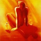 2891.Ambre Solaire Sun Tan Lotion Fashion French POSTER.Modern art decoration