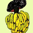 8563Gallego.spanish cuban film.bananas.mushroom.POSTER.movie decor graphic art