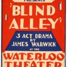 7482.Blind alley.the federal theatre.waterloo theatre.POSTER.art wall decor