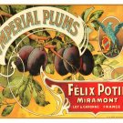 8829.Imperial plums.felix potion miramont.POSTER.art wall decor graphic art