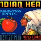 8837.Indian head brand.washington apples.POSTER.art wall decor graphic art