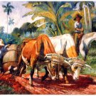 9116.Oxen pulling on barrel.man pushing oxen.POSTER.decor Home Office art 9116.Oxen pulling on barrel.man pushing oxen.POSTER.decor Home Office art