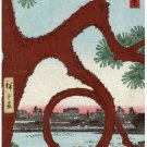 7360.Japanese winding tree overlooking fishing lake.POSTER.House art wall decor 7360.Japanese winding tree overlooking fishing lake.POSTER.House art wall decor