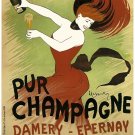 9652.Pur champagne.woman in red dress.drinking.POSTER.decor Home Office art
