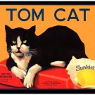 8808.Tom cat.orosi foothill citrus assoc.POSTER.POSTER.wall decor graphic art