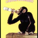 7753.Anisetta evangelisti.liquore da dessert.monkey drinks.POSTER.art wall decor