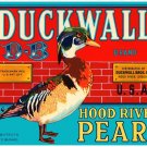 8815.Duckwall brand.hood river pears.duck.POSTER.art wall decor graphic art