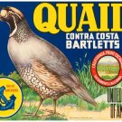8823.Quail brand.contra costa bartletts.POSTER.art wall decor graphic art