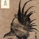7651.Japanese rooster looking bird.pecking.long tail.POSTER.art wall decor