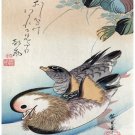 8093.Two japanese fowls wading in water.japanese scribbles.POSTER.art wall decor
