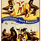 9575.Forepaugh & sells brothers.seals in show.POSTER.decor Home Office art