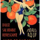 7670.Jugo de naranja.WOman in blue had with oranges behind.POSTER.art wall decor 7670.Jugo de naranja.WOman in blue had with oranges behind.POSTER.art wall decor