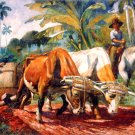 9927.Man pushing oxen to carry large barrel.POSTER.home decor graphic art