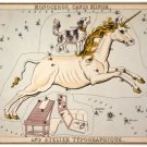 8890.Unicorn with dog..astrological map.POSTER.art wall decor graphic art
