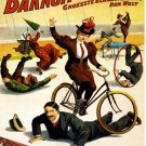 9407.Barnum and bailey.woman rides bike on man.POSTER.decor Home Office art