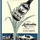 5209.Matusalem.caña de azucar cubana.sugar fields.POSTER.decor Home Office art