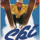 316.Art Decoration POSTER.Graphics to decorate home office.Ski Sports Painting.