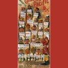 3582.Canada Pacific Summer Tours train POSTER.Interior Home School art decor