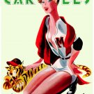 7763.Retro Woman in basecall uniform.Tiger mascot.POSTER.art wall decor