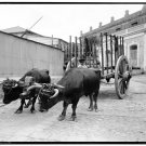 Decoration Poster print.Wall art decor.Home interior.1900 Cuba B&W Photo.11206