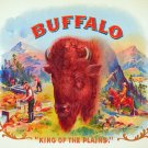 10875.Poster decoration.Home interior.Room Wall design.Buffalo King of d Plains