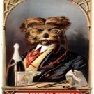 9602.Decoration Poster.Home interior design.Room wall art.Young swell.Mancave