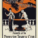 Decoration Poster.Room interior design.Priscilla.Princenton Club theater.11453