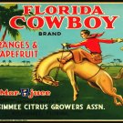 Decoration Poster.Home interior design.Room Wall art decor.Florida Cowboy.10968