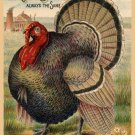 Wall Decor Poster.Home Room interior art design.Turkey brand.1881 Molasses.11644