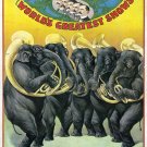 Wall Decoration Poster.Room art design.Circus Elephant jazz band.Decor.11709