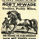 10684.Decorative Poster.Interior design art.Home wall decor.Equine.Wild horse