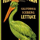 Decoration Poster.Home interior design.Room Wall art decor.Green Pelican.10967