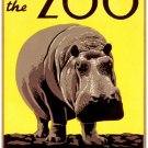 8103.Philadephia zoo.Decoration Poster.Home interior.Room Wall art decor.Hippo