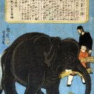11840.Decoration Poster.Home room interior wall art.Japanese black elephant