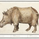 11895.Decoration Poster.Room Home office Wall decor.Nature art.Rhinoceros.Rhino