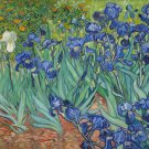 10449.Decoration Poster.Home wall Art decoration.Van Gogh Flowers.Garden