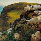 Decoration Poster.Strayed sheep by William Hunt art painting.Wall decor.11334