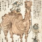 11835.Oriental Decoration Poster.Home room interior wall art.Japan Asian Camel