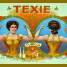 10858.Poster decoration.Home interior.Room Wall art design.Texie Strong Woman
